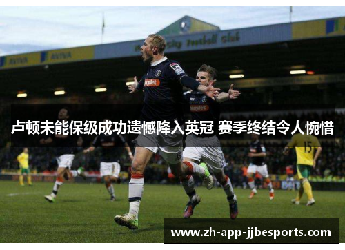 卢顿未能保级成功遗憾降入英冠 赛季终结令人惋惜
