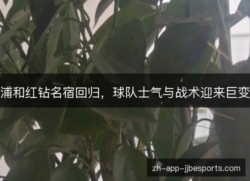 浦和红钻名宿回归,球队士气与战术迎来巨变 浦和红钻名宿回归,球队士气与战术迎来巨变